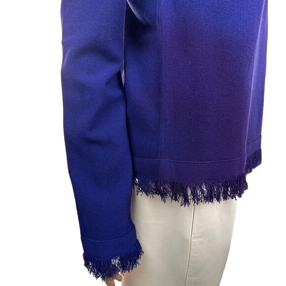 Ann Taylor Size M Purple Knit Sweater Long Sleeve Fringe at Cuff & Hem Viscose - Picture 2 of 5